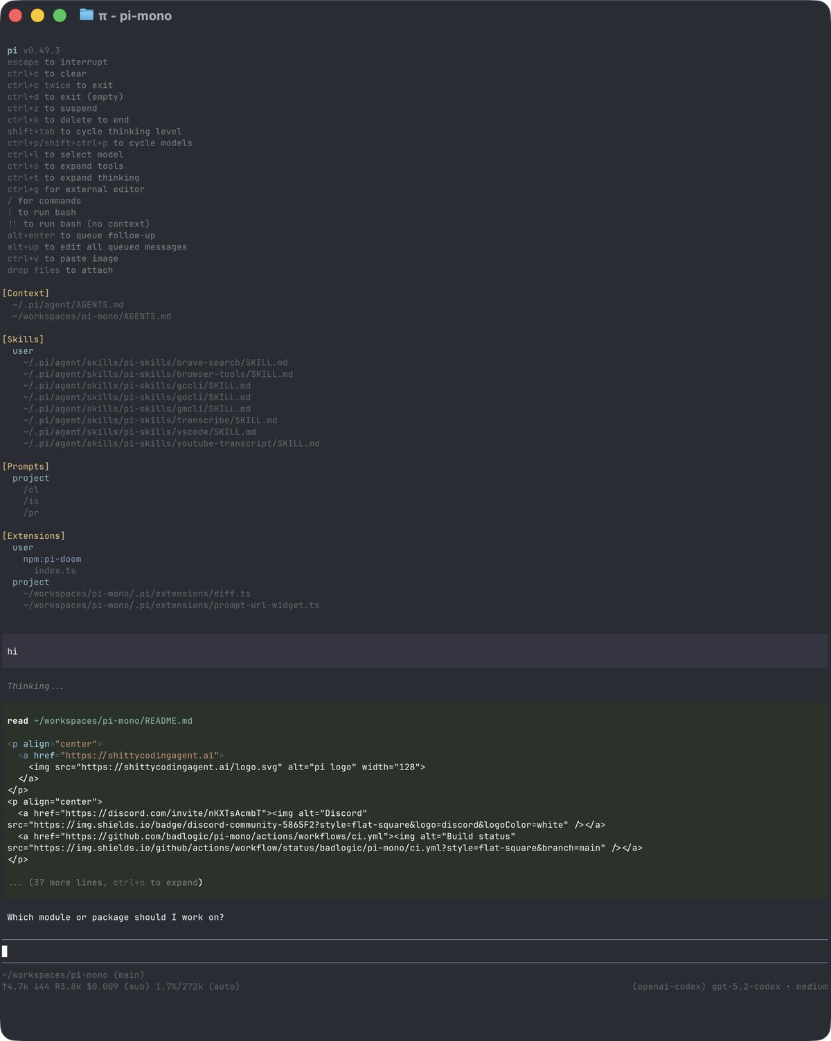 Pi Agent interactive terminal interface